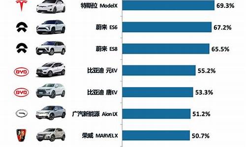 新能源汽车排行榜前十名车标志_新能源汽车前十名品牌商标